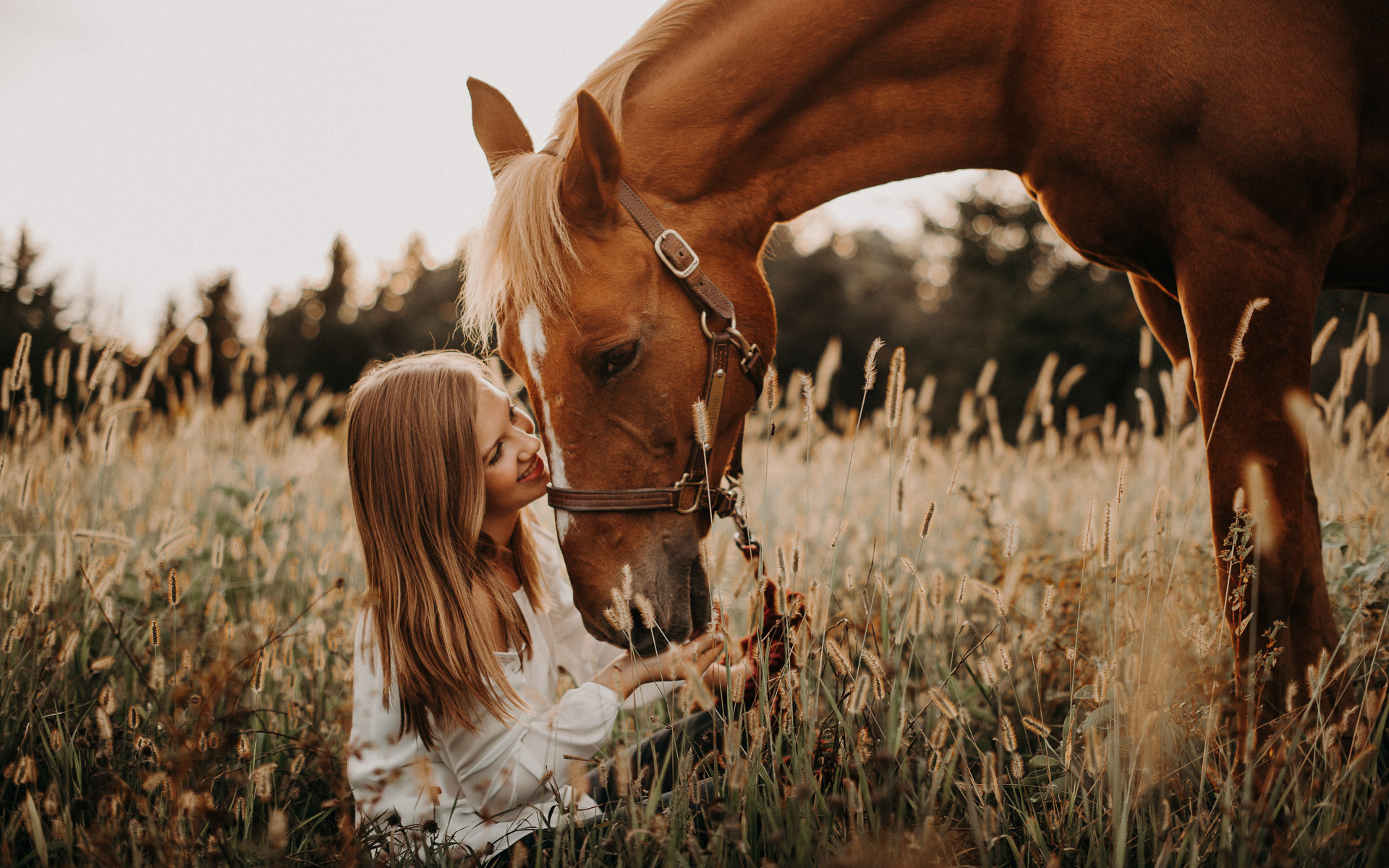 senior portrait with horse