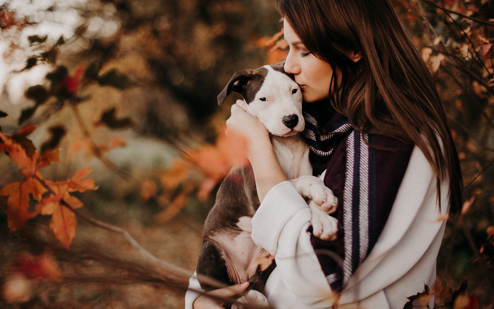 senior portrait with puppy